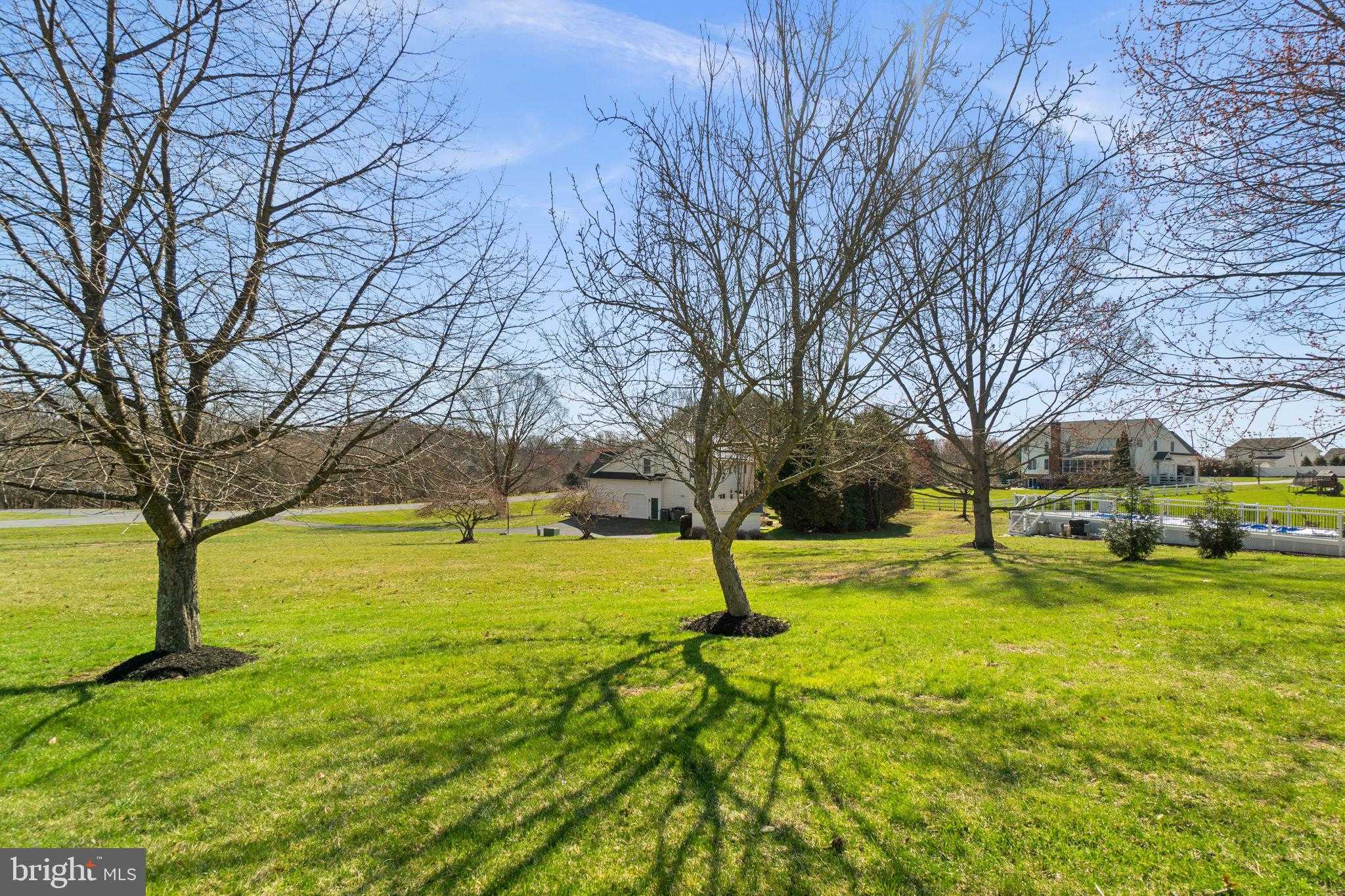 1765 Nantasket Dr photo 56