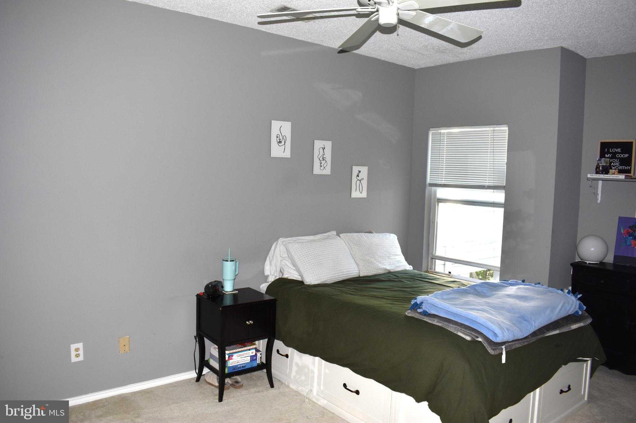 4413 Fair Stone Dr Apt 306 photo 17