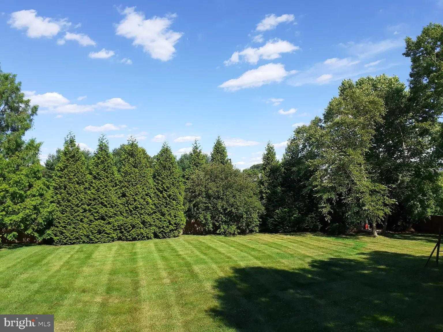 20305 Mallet Hill CT photo 27