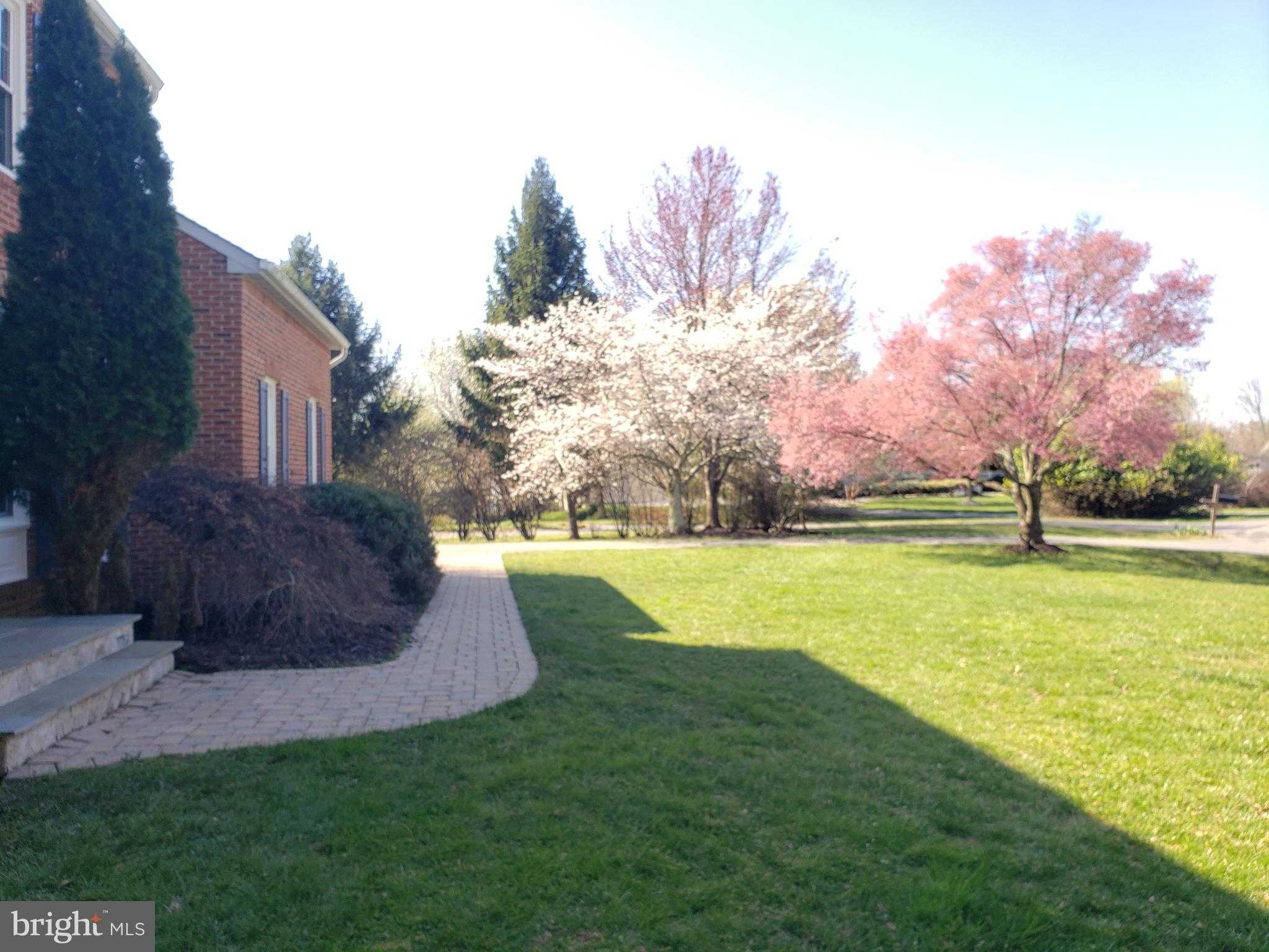 20305 Mallet Hill CT photo 32