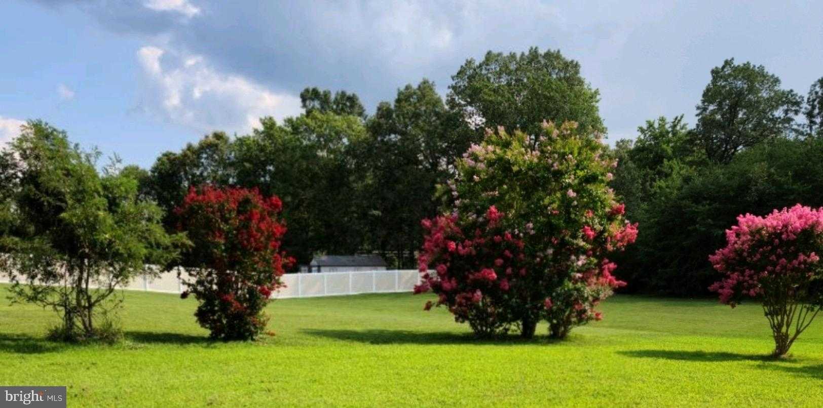 2501 Friendship Heights Dr photo 79