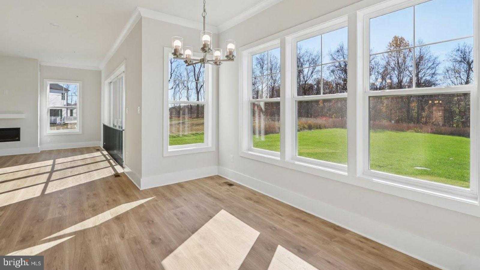 16504 Golden Crown Dr photo 18