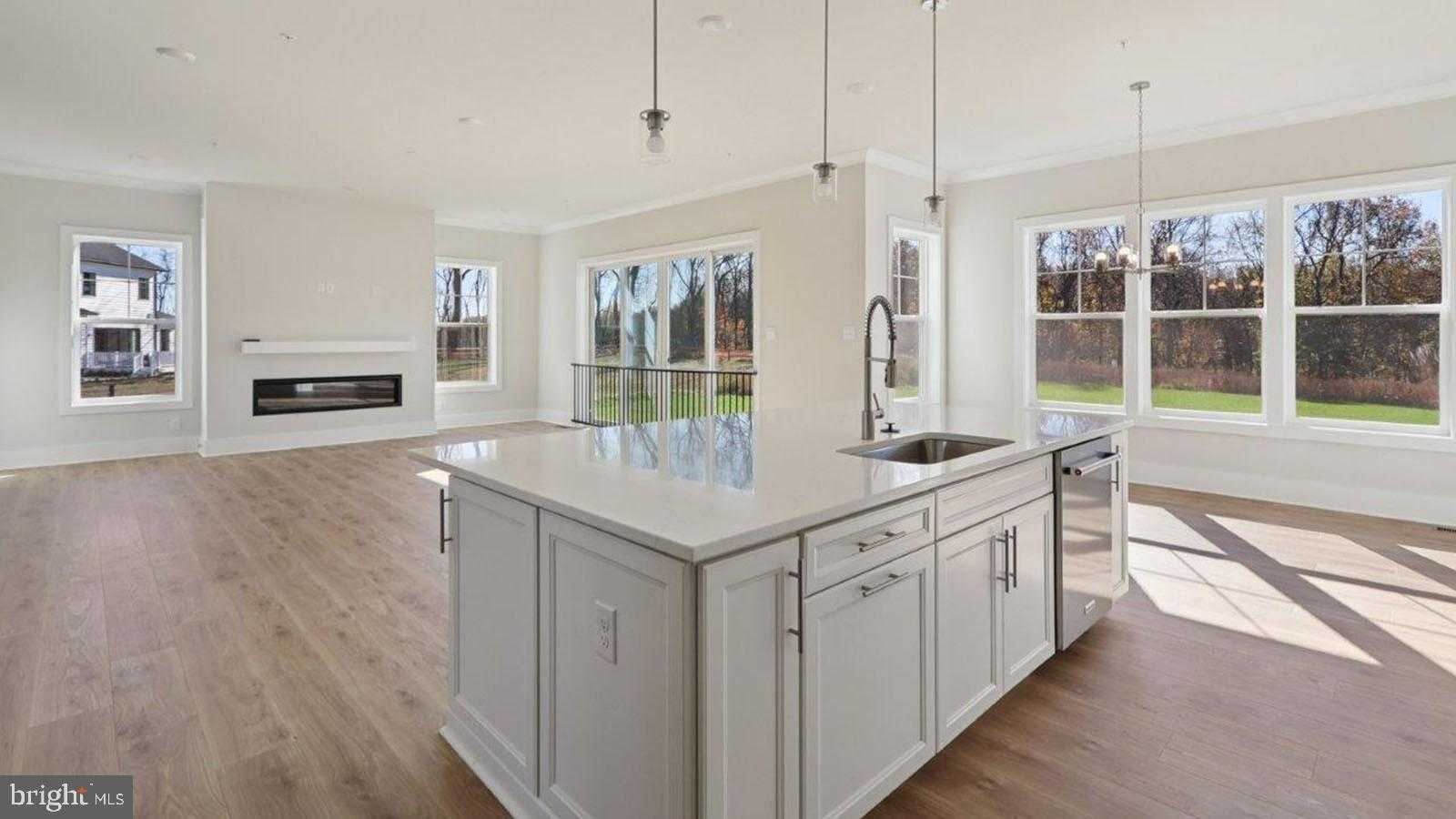 16504 Golden Crown Dr photo 27