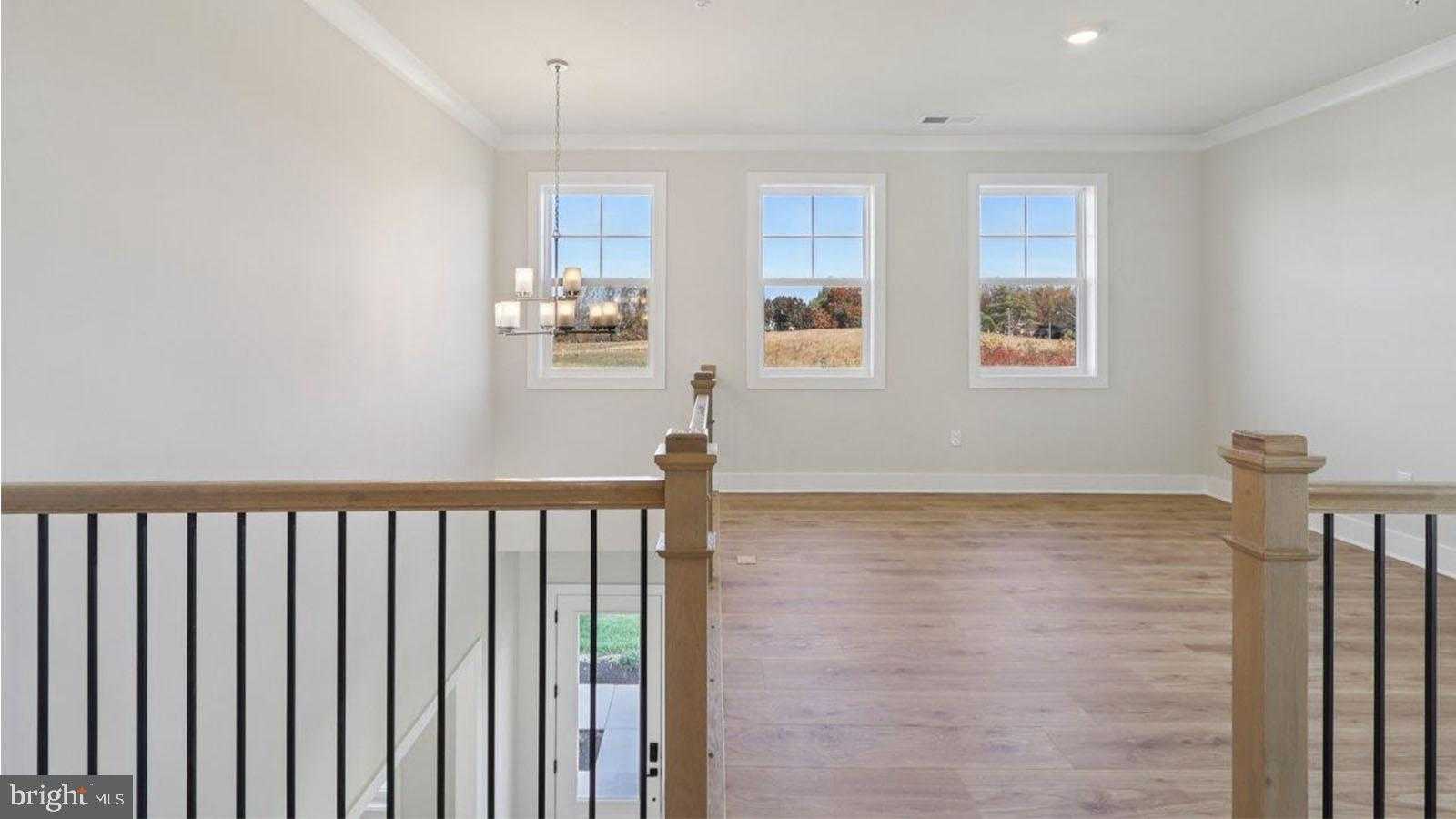 16504 Golden Crown Dr photo 61