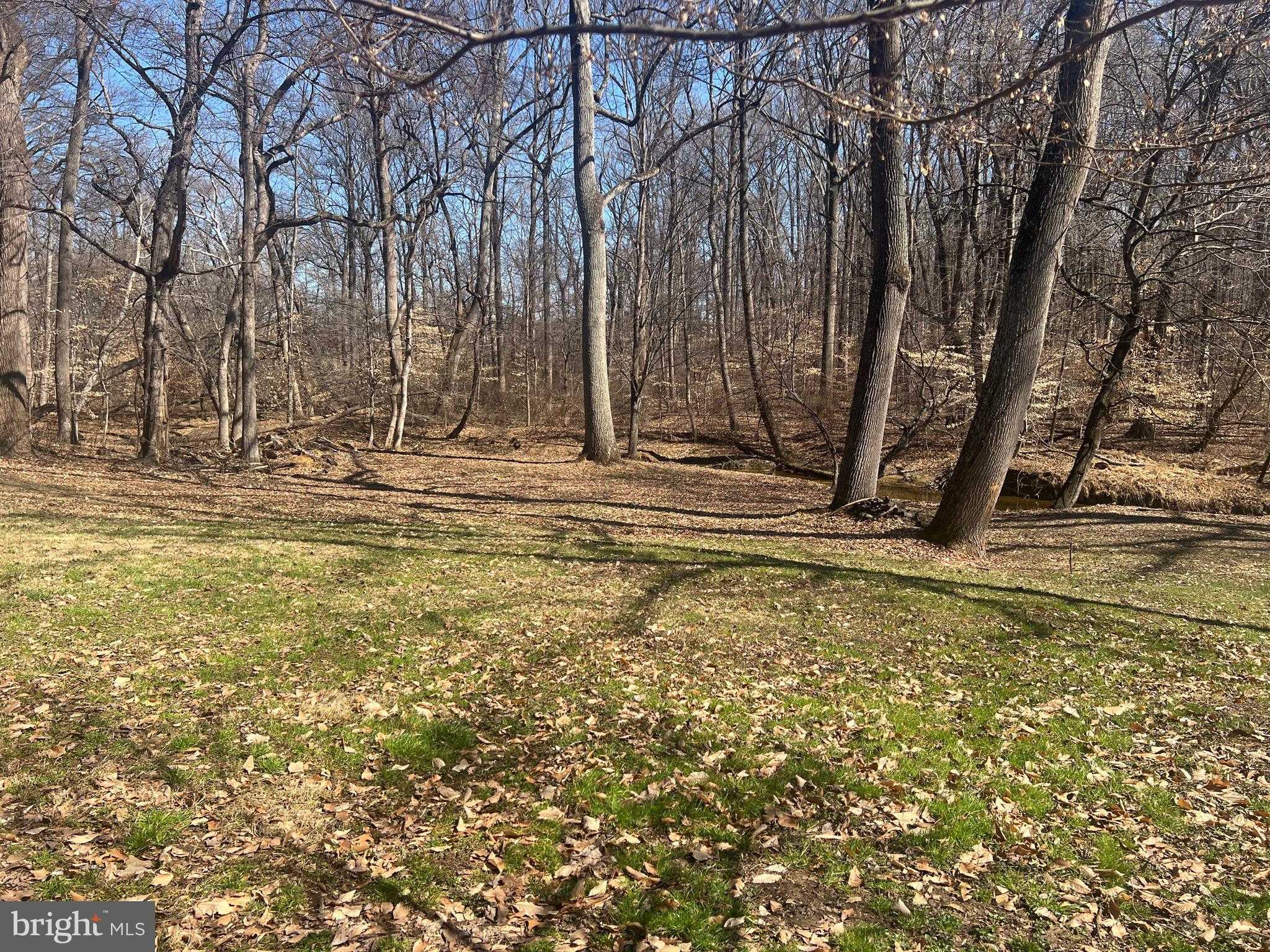 54 Oakridge CT photo 41