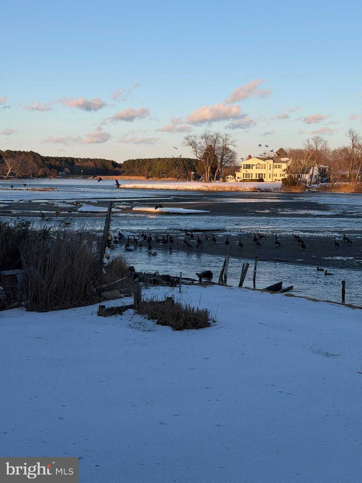 101 Beachside Dr photo 21