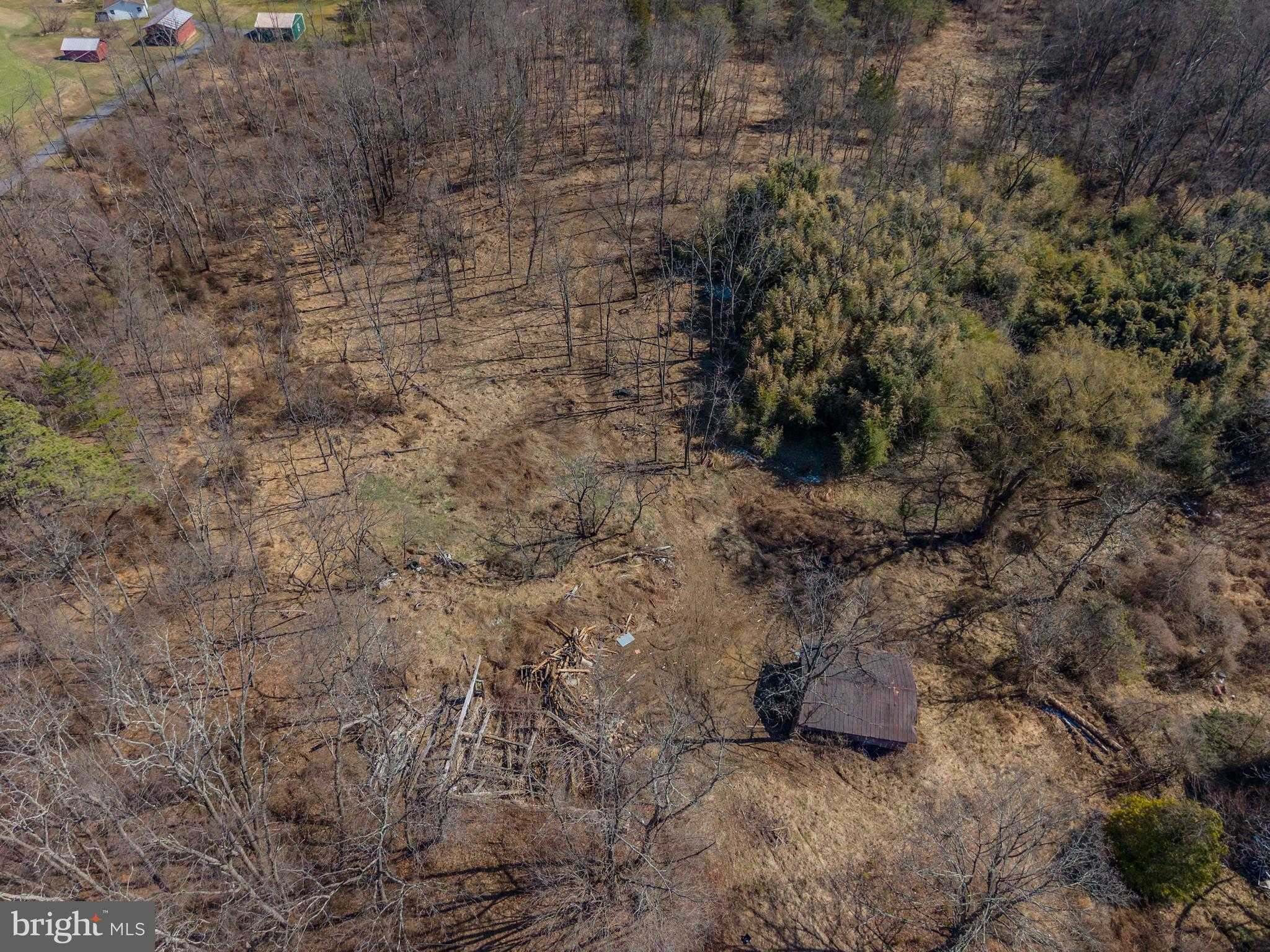 1237 Buckwheat Rd photo 17