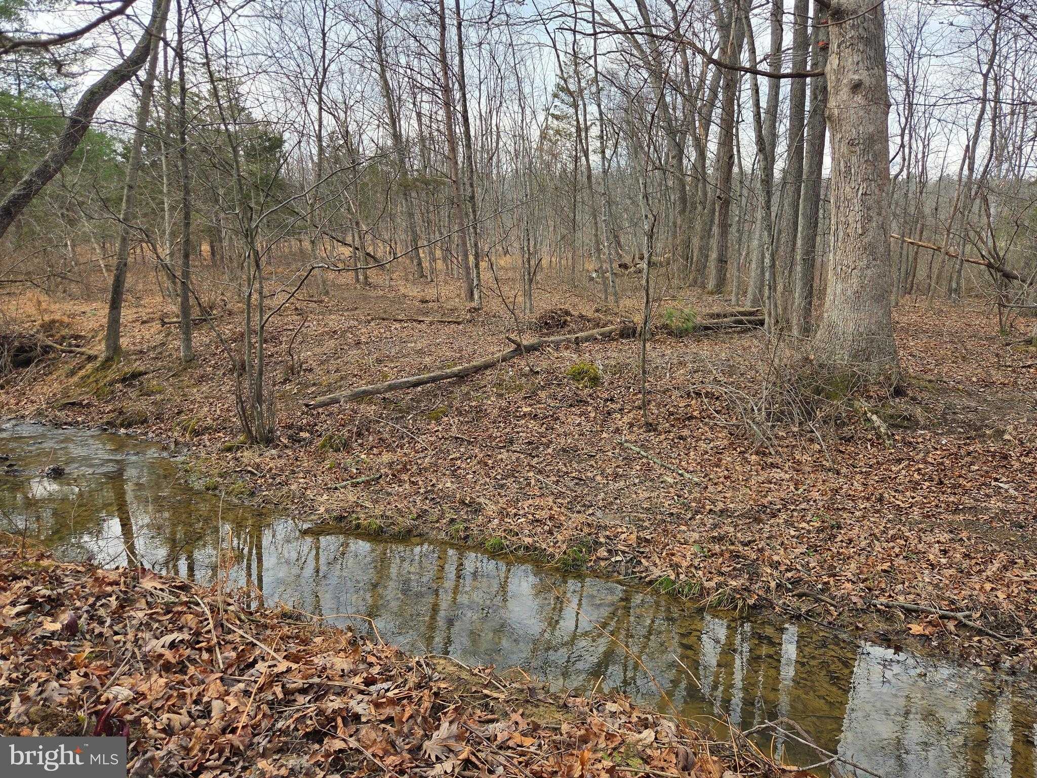 1237 Buckwheat Rd photo 28