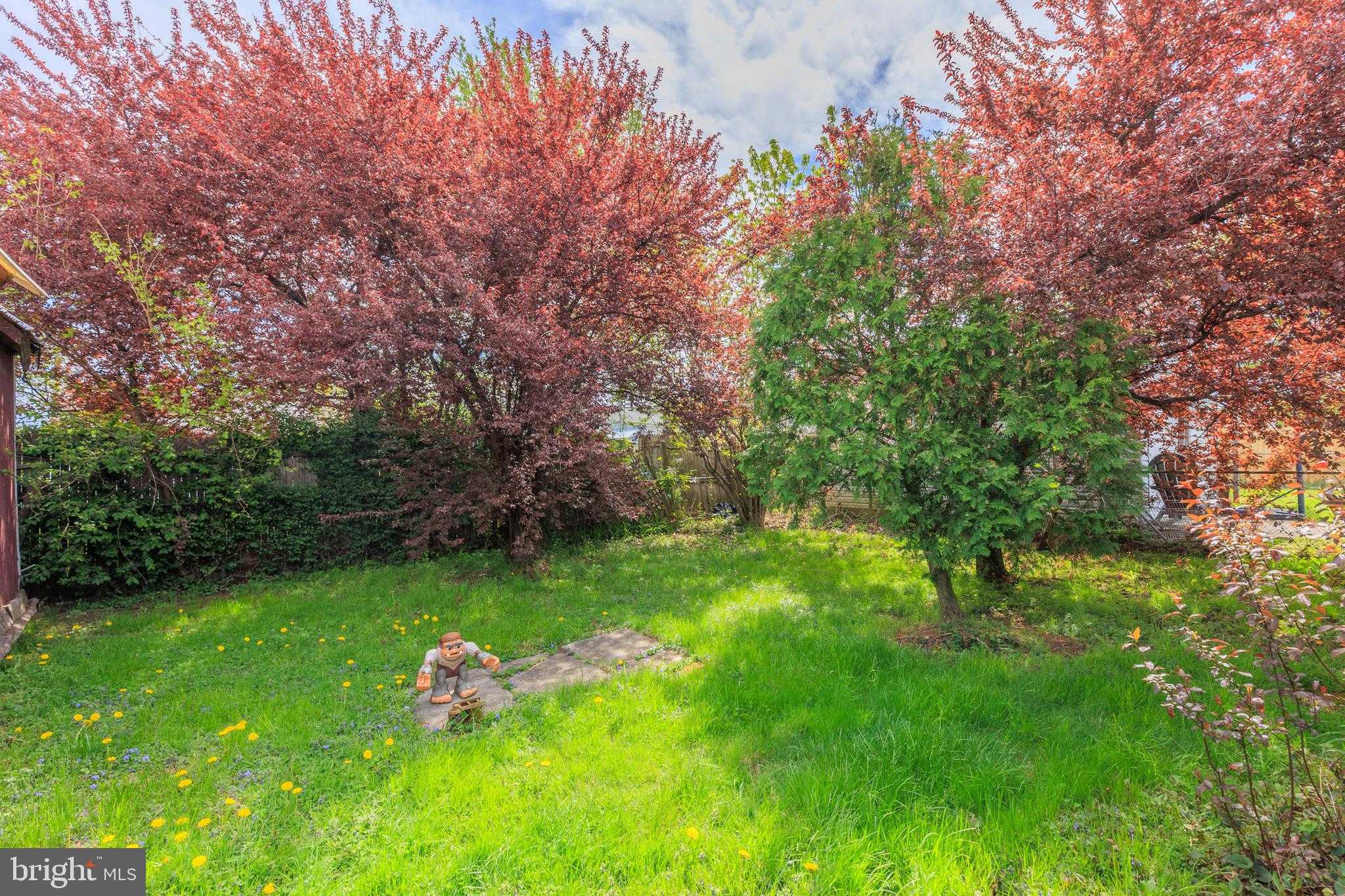 2405 Brunswick Rd photo 12