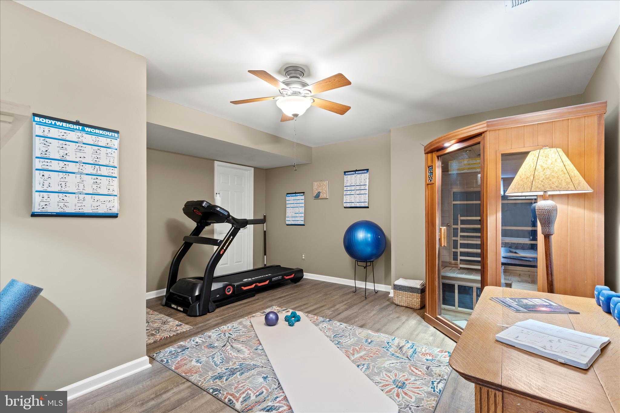 25057 Gazelle CT photo 69