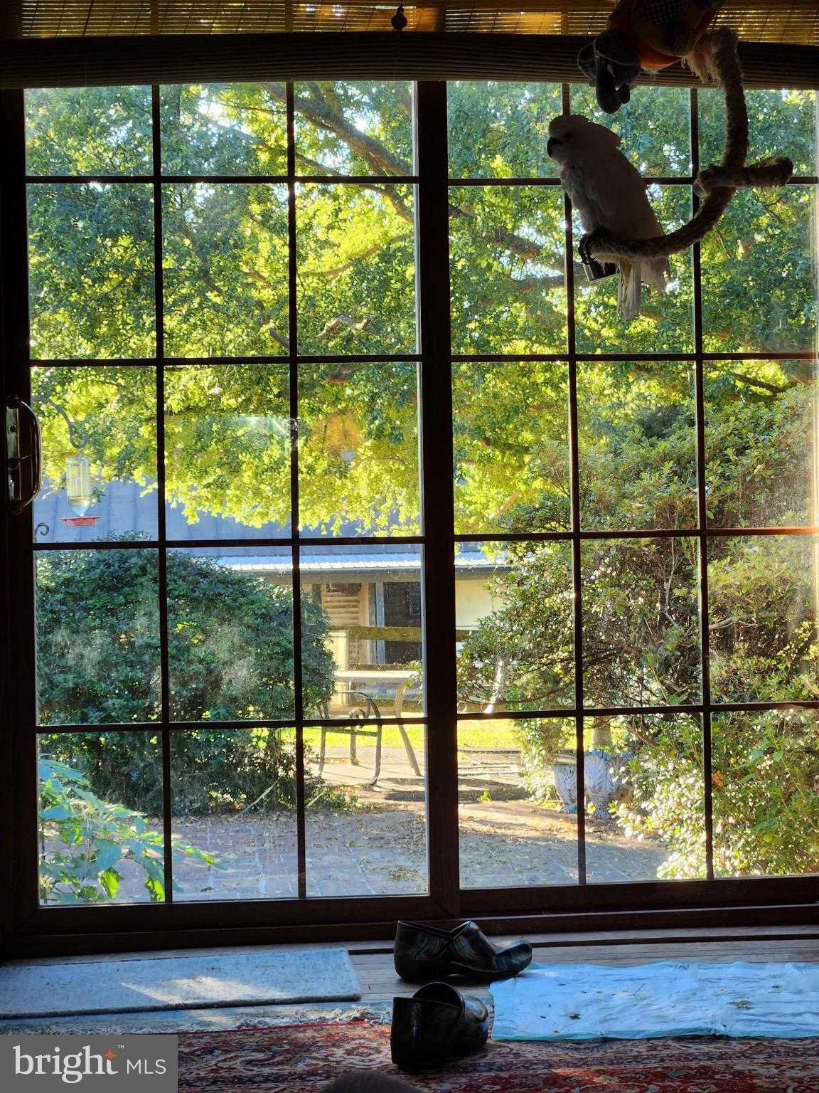 19255 Telegraph Springs Rd photo 9