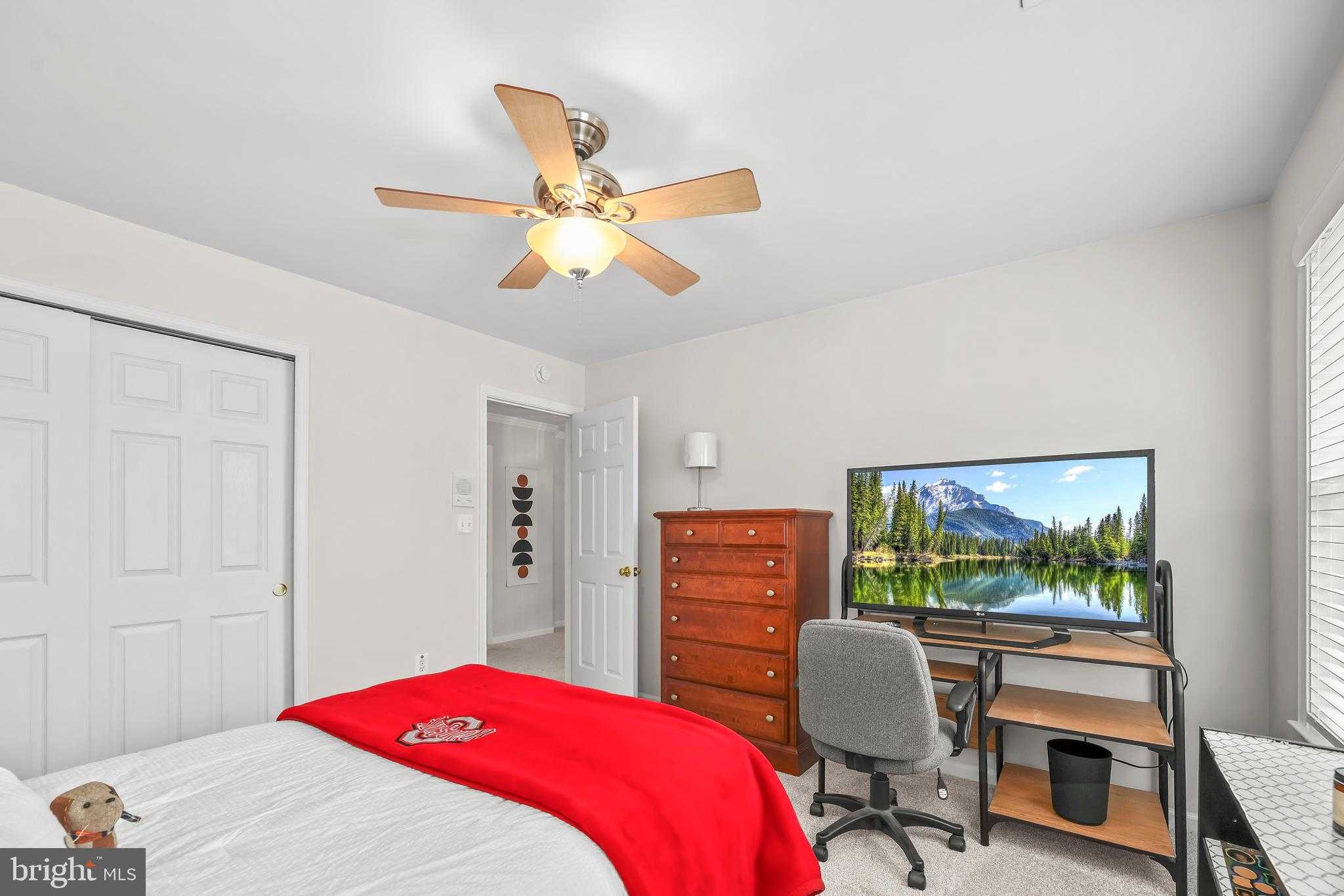 15 Saint Adams Dr photo 32