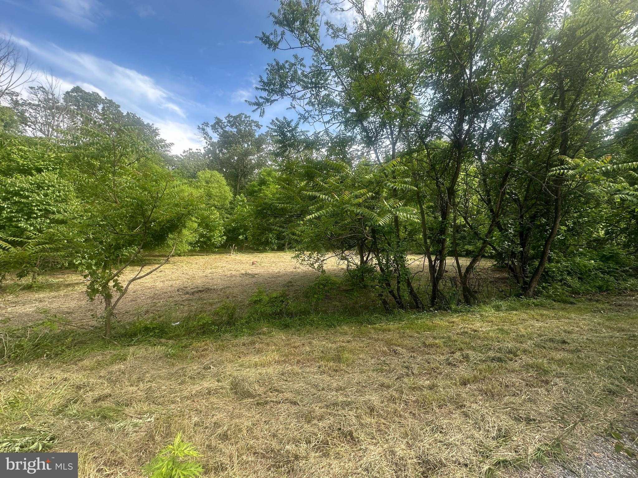 110 Natalie Ln photo 11