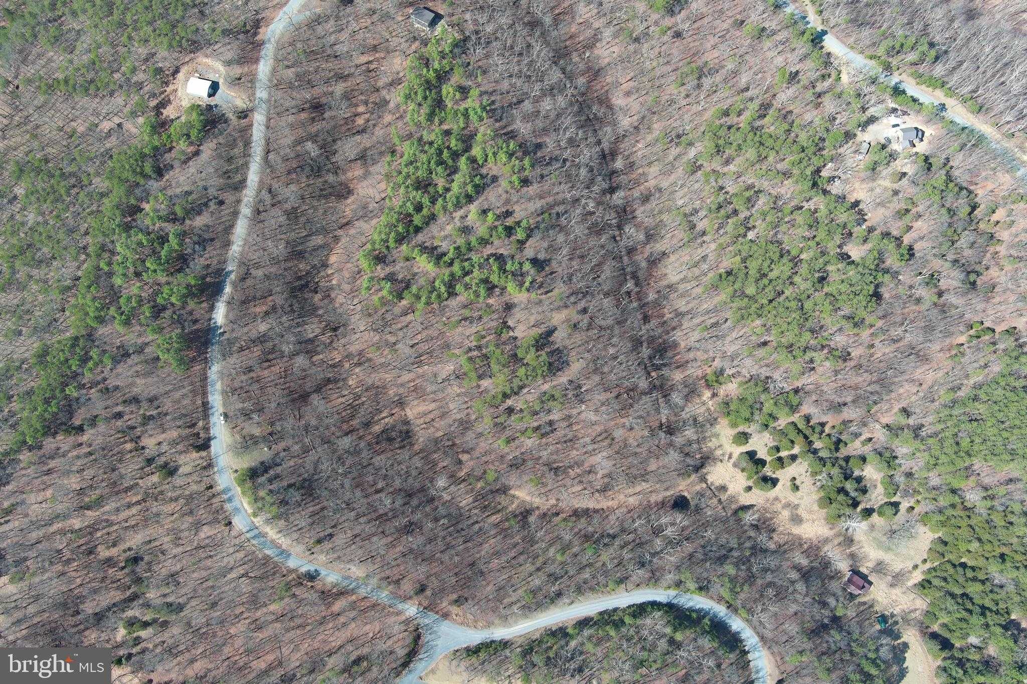 Hamilton Estates Dr photo 57