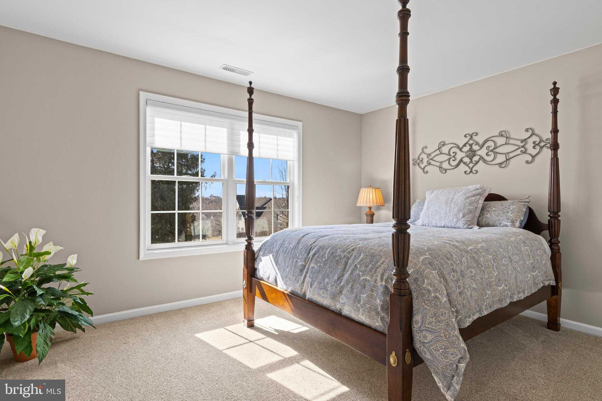 14 Dever Dr photo 46