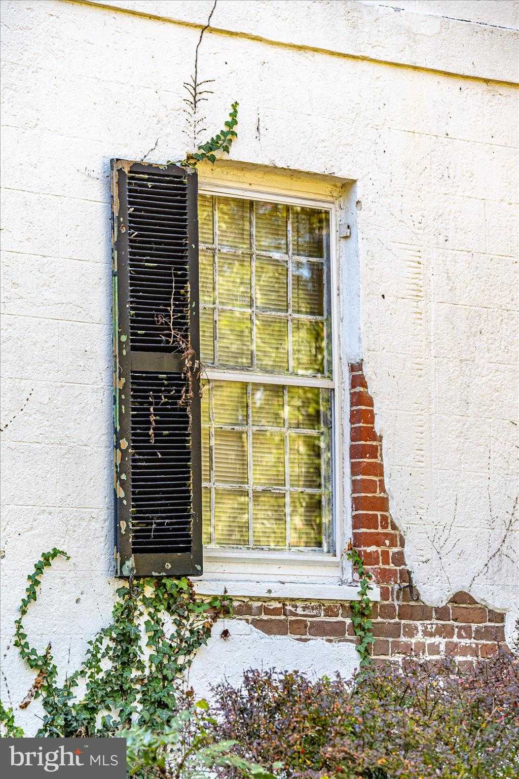 209 W Federal St photo 108