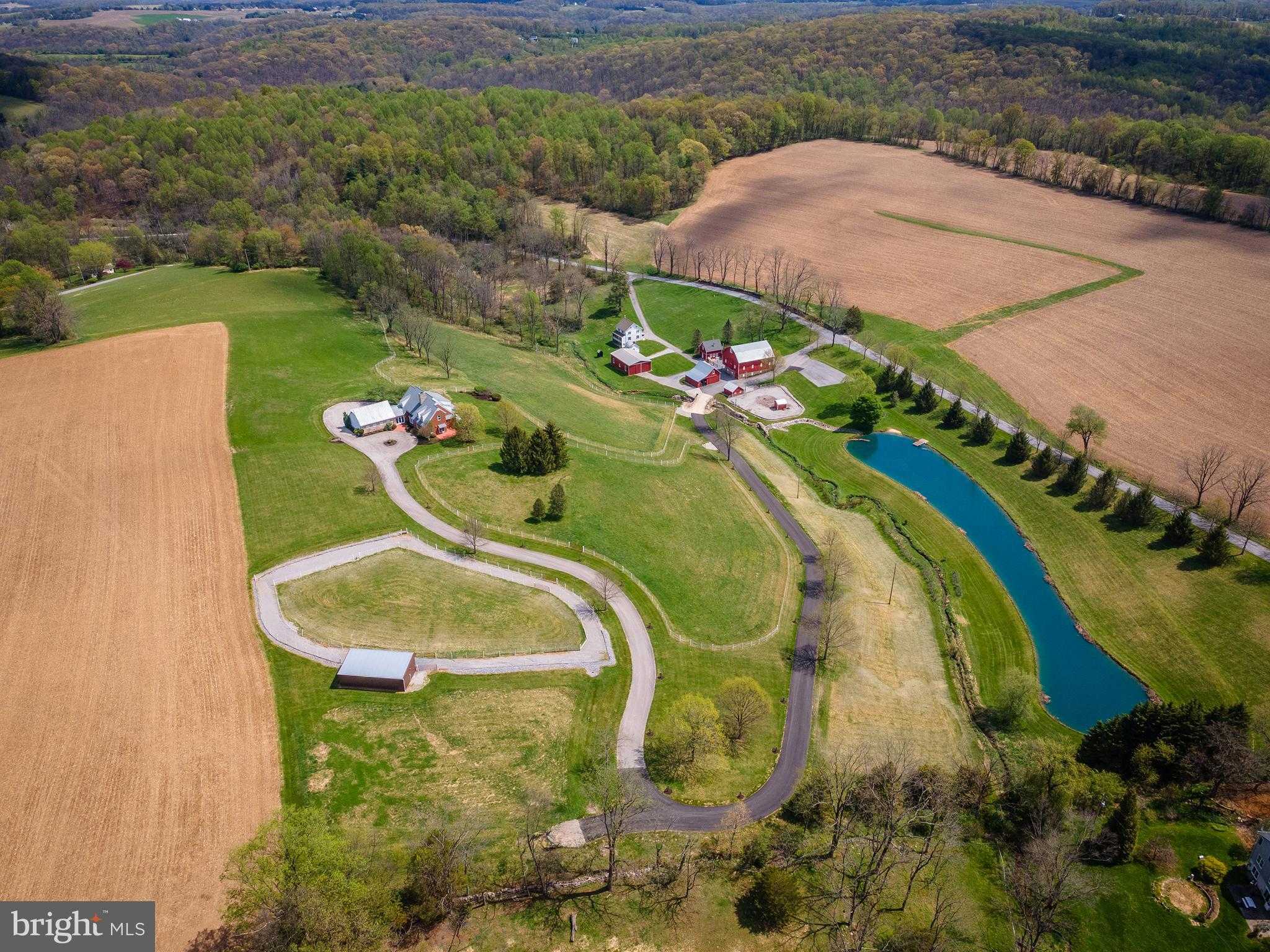 11350 White Oak Rd photo 4