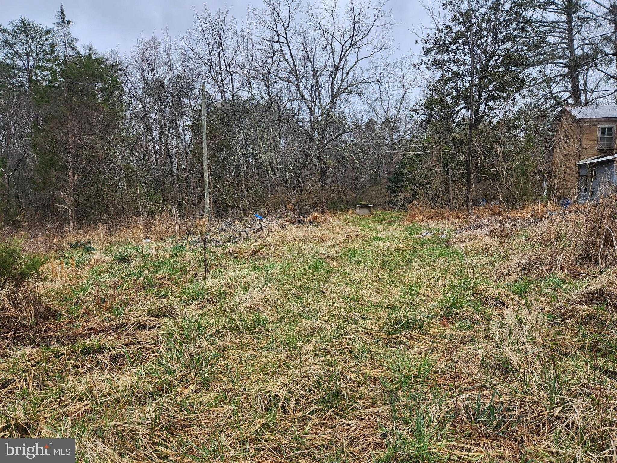 8228 Flippo Dr photo 4