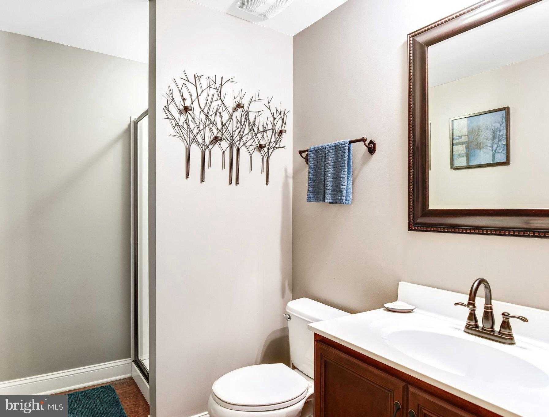 15220 Fog Mountain Cir photo 42