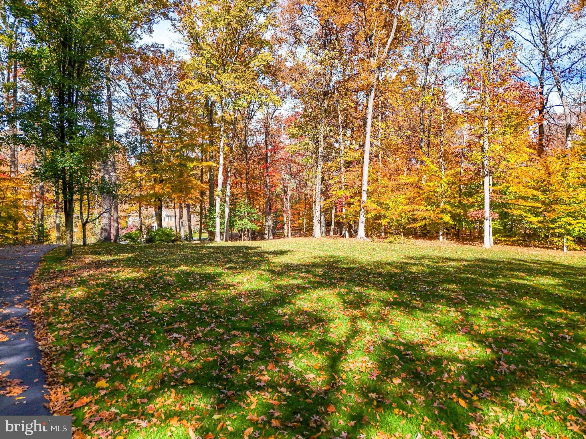 12765 Gold Cup Trl photo 66