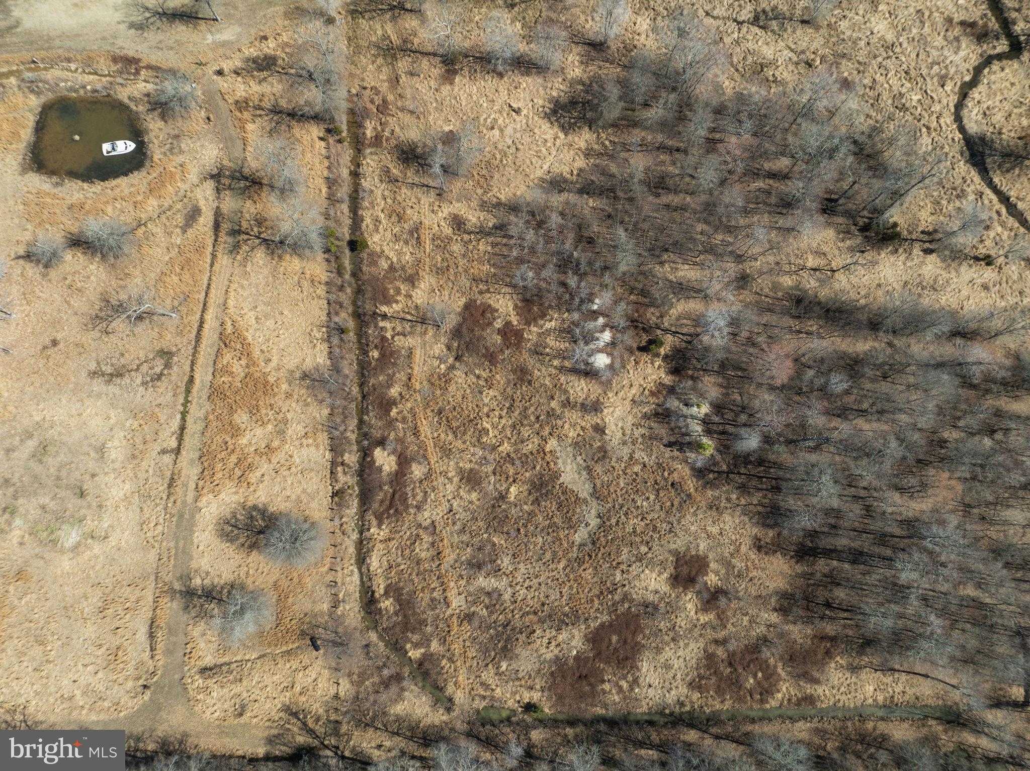 16420 Cedar Lawn Dr photo 22