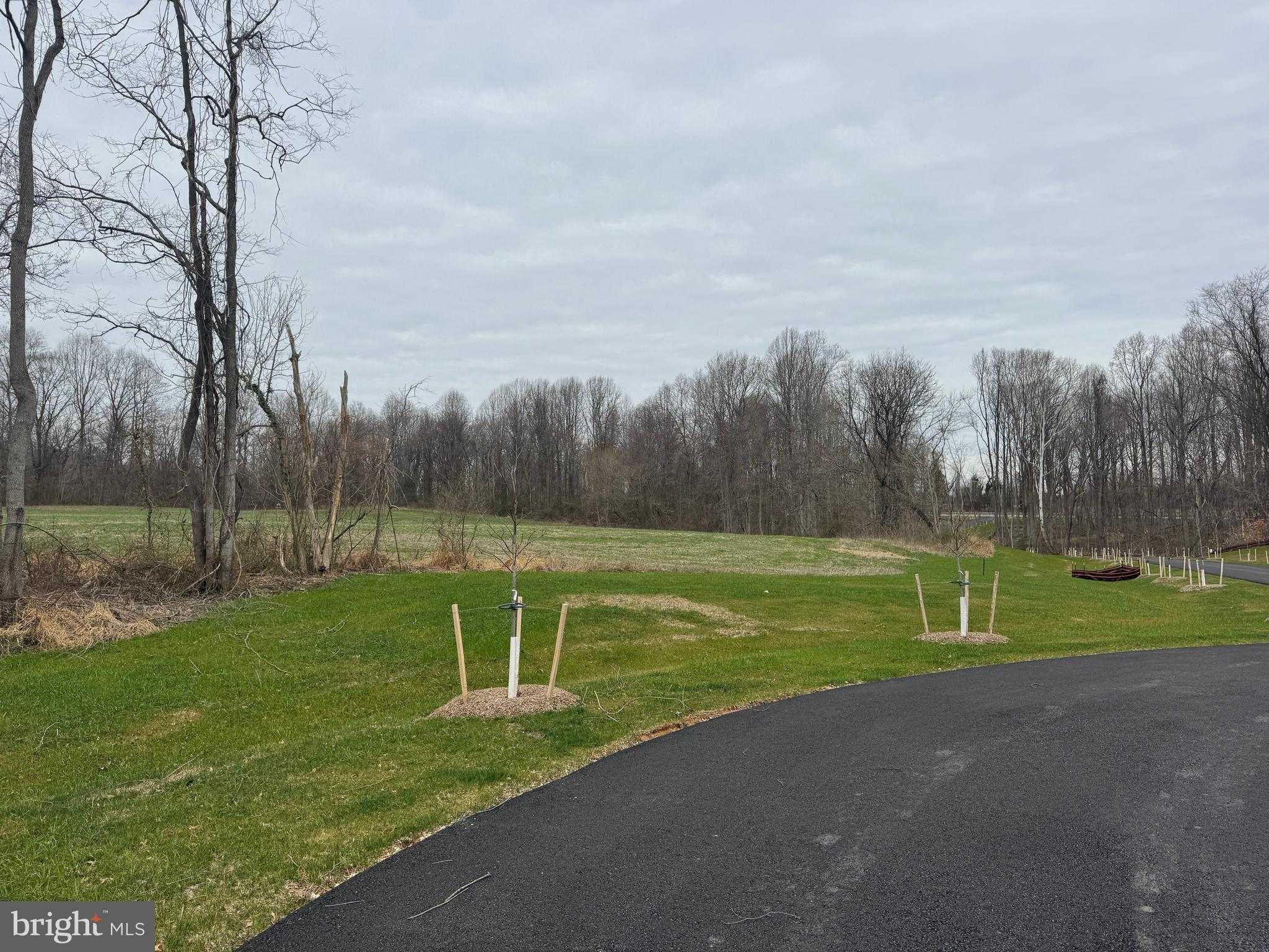 6006 Timeless Oak Trl photo 22