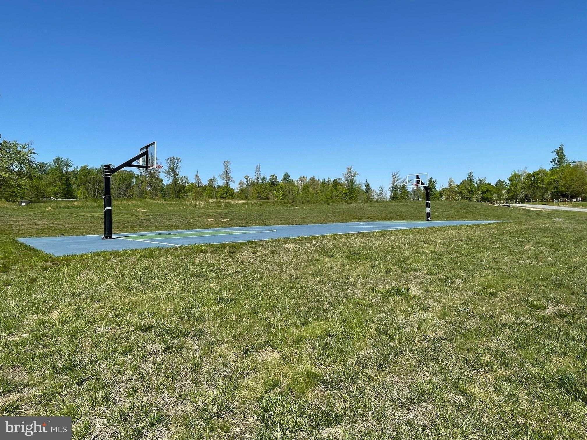 75 New Dawn Ct photo 8