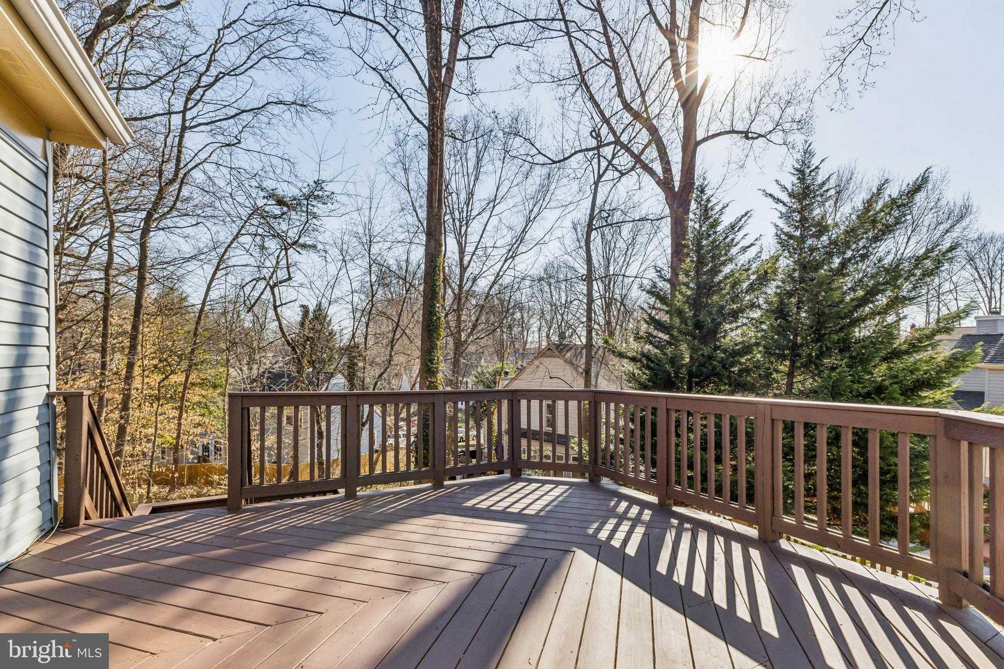 15056 Silver Leaf CT photo 24