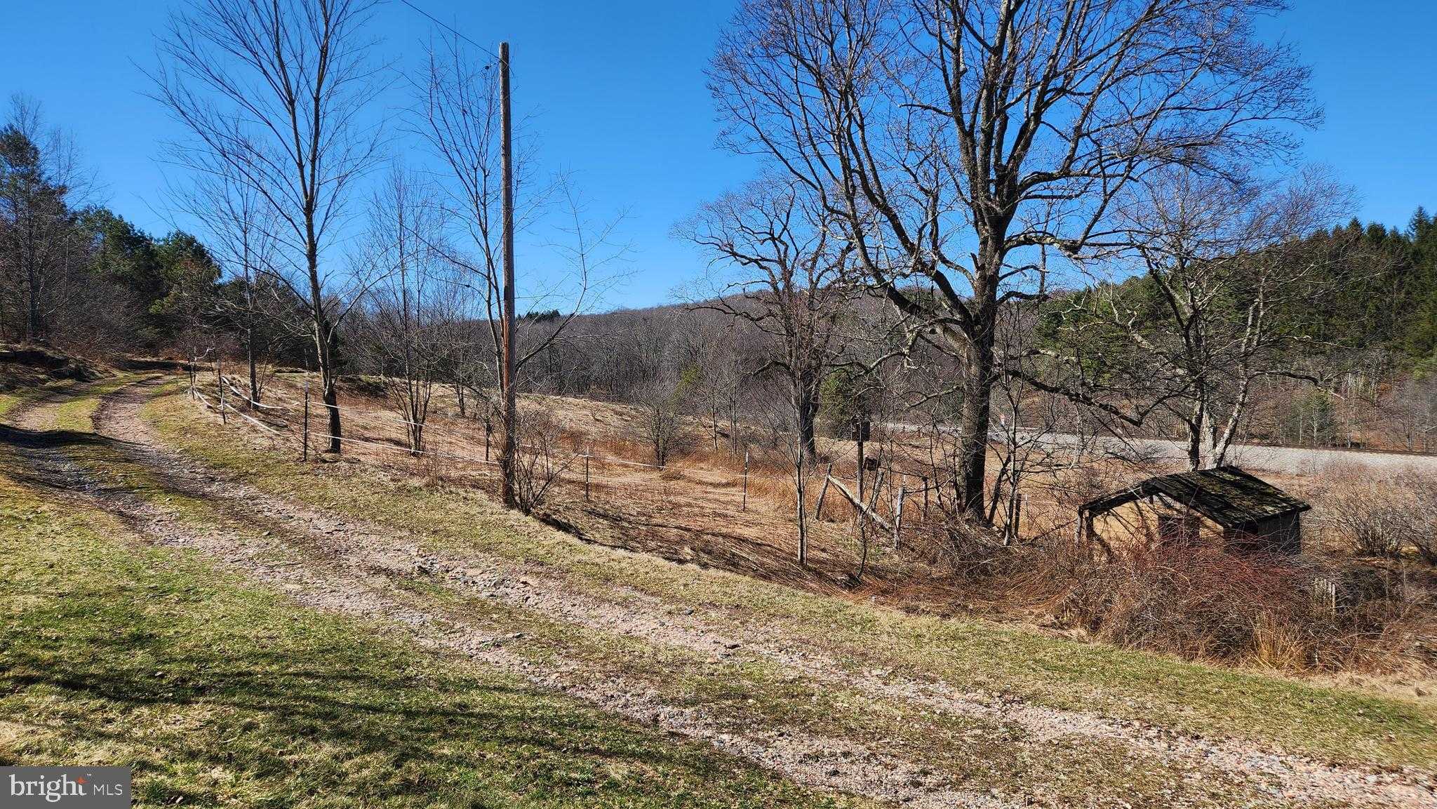 584 Old Wilson Rd photo 12