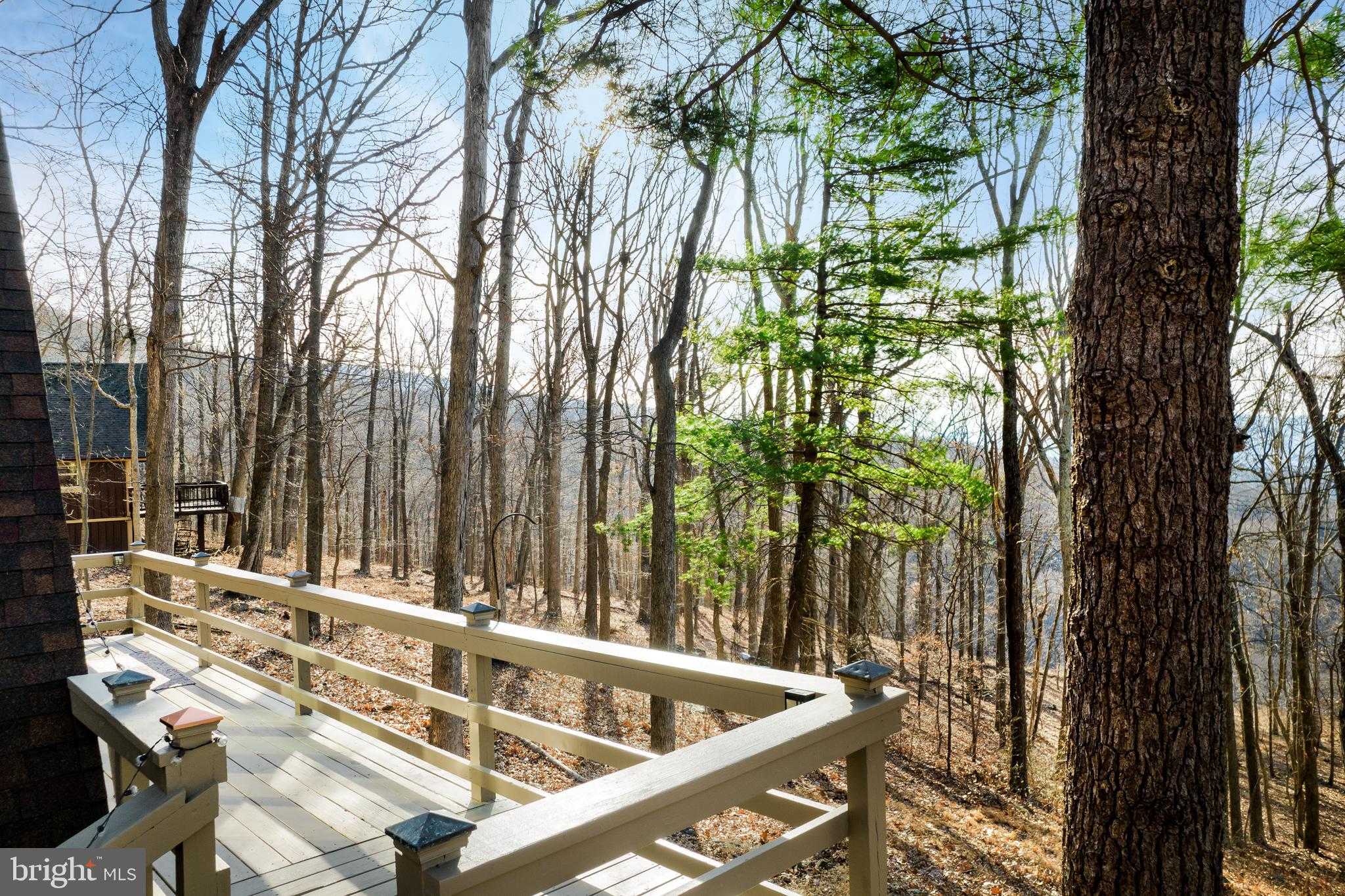 698 Valley View Rd photo 5