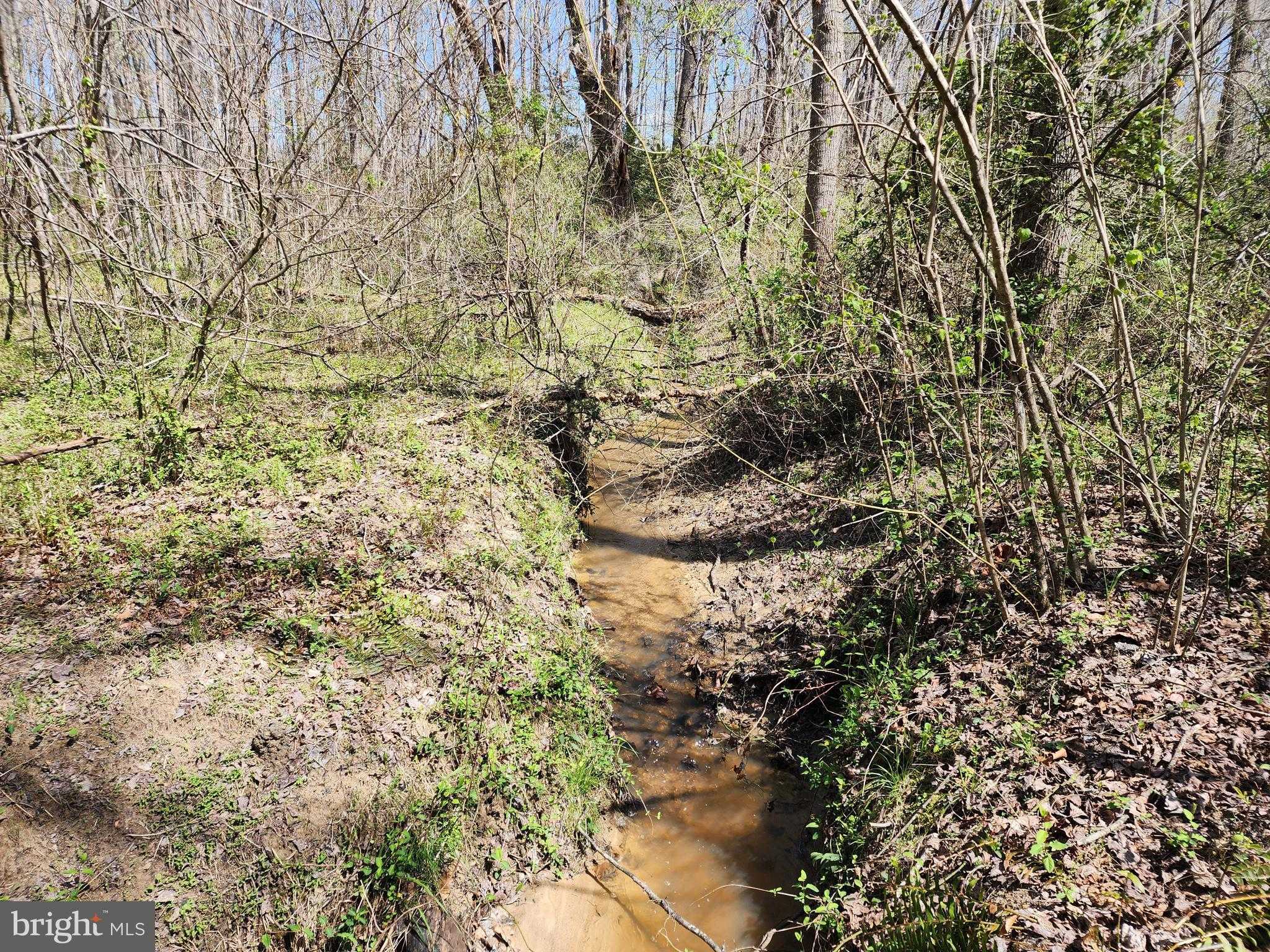 15B Bent Creek Ln photo 5