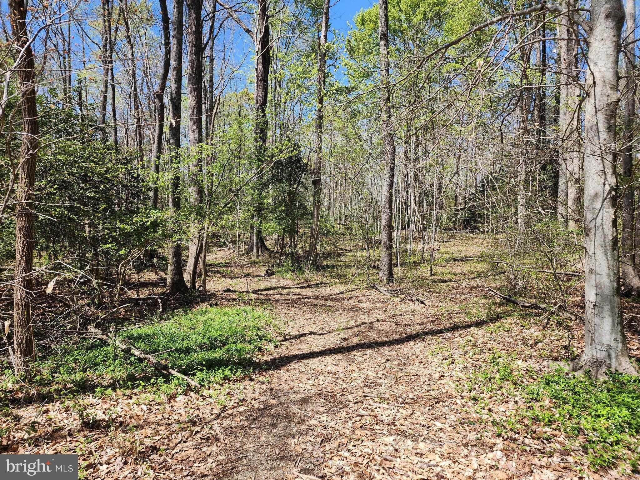 15B Bent Creek Ln photo 7