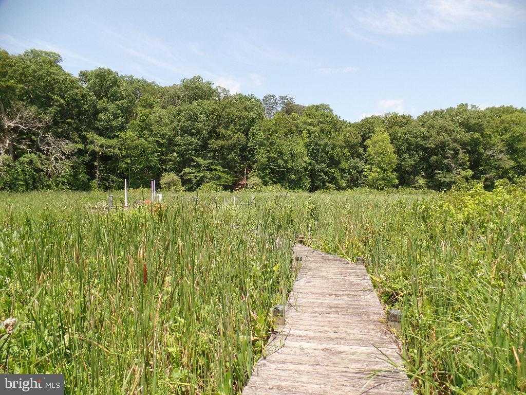 12124 Palisades Dr photo 131