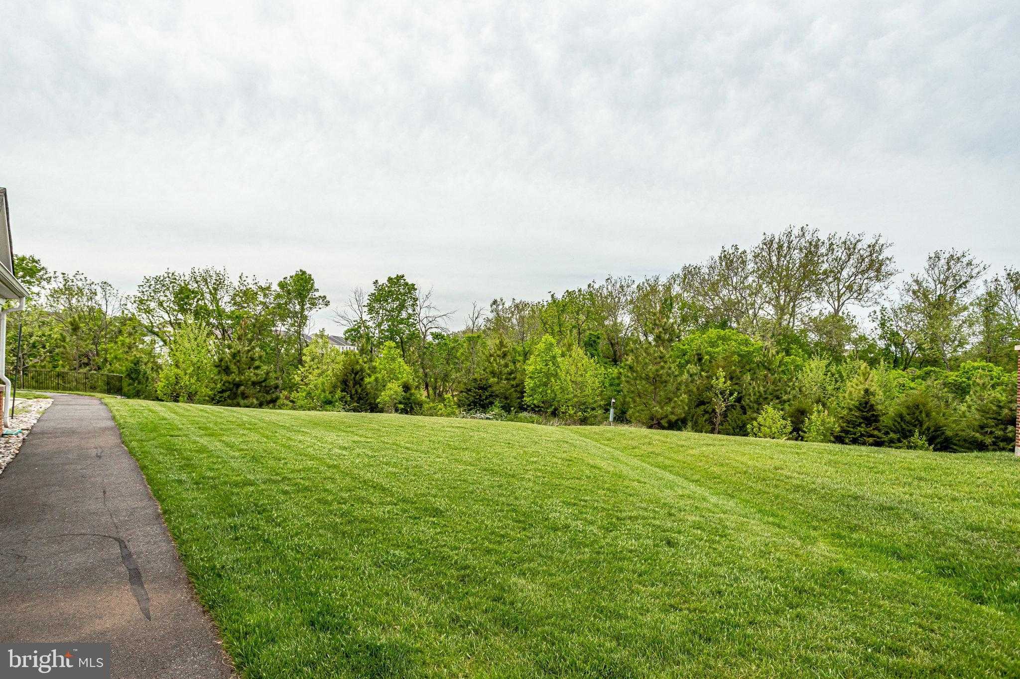 44367 Adare Manor Sq photo 52