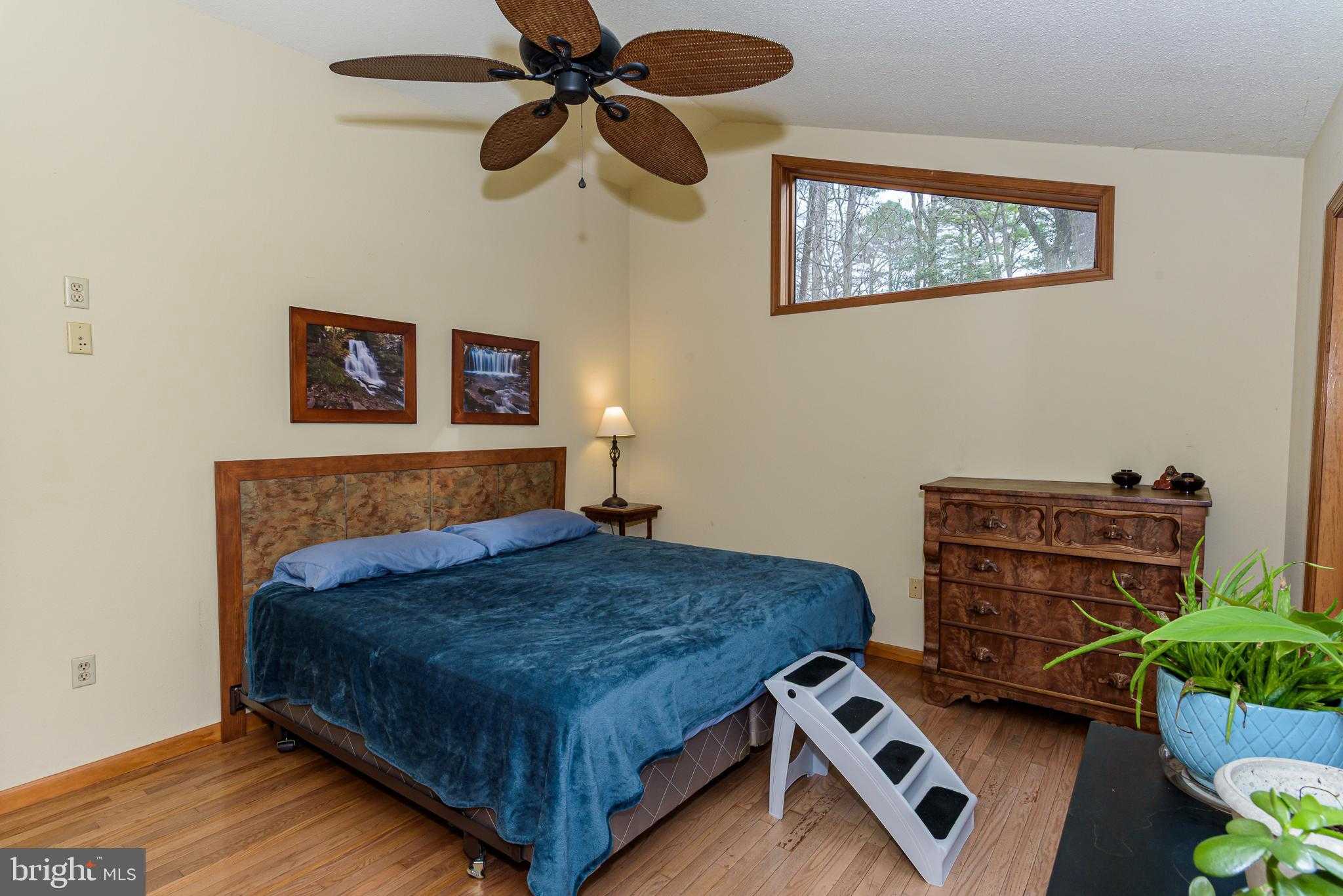 808 Friar Tuck Ln photo 4