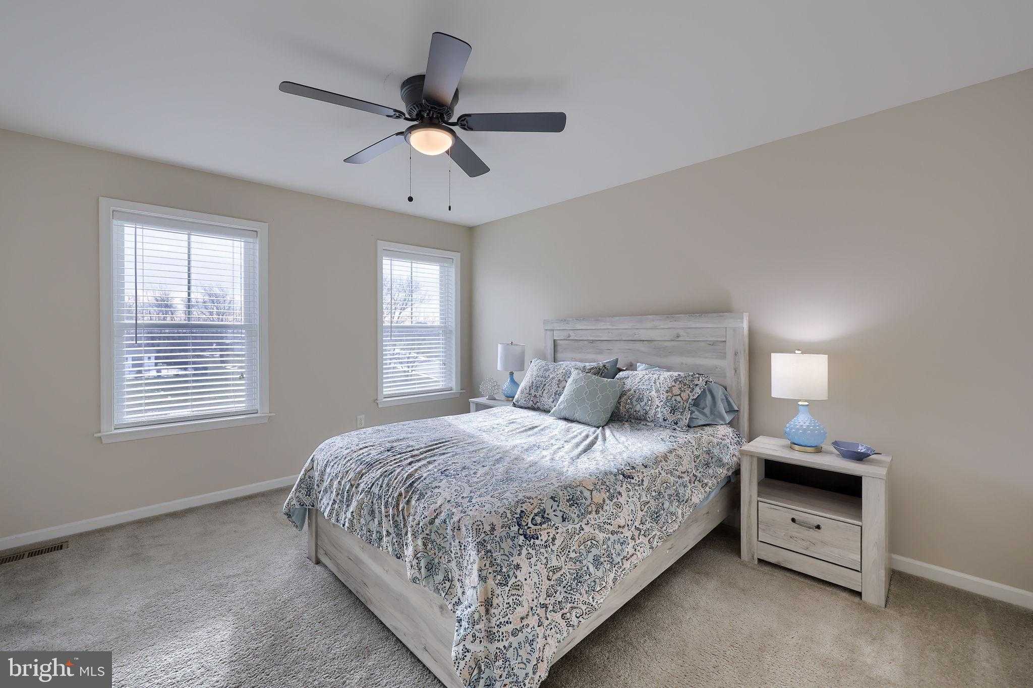 8 Ivanhoe Ln photo 50