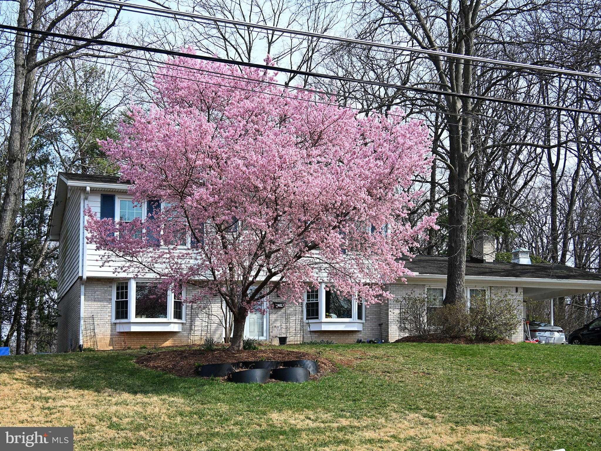 4817 Dodson Dr photo 2