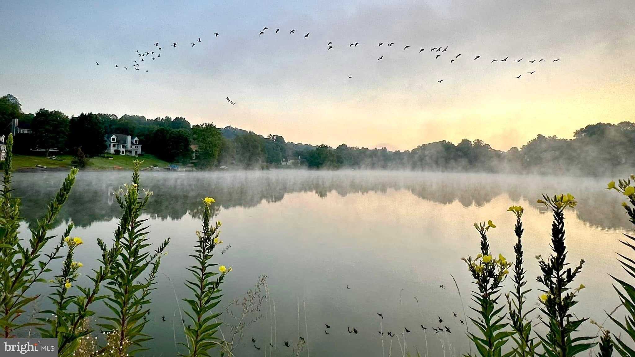 150 Hamilton Rd photo 50