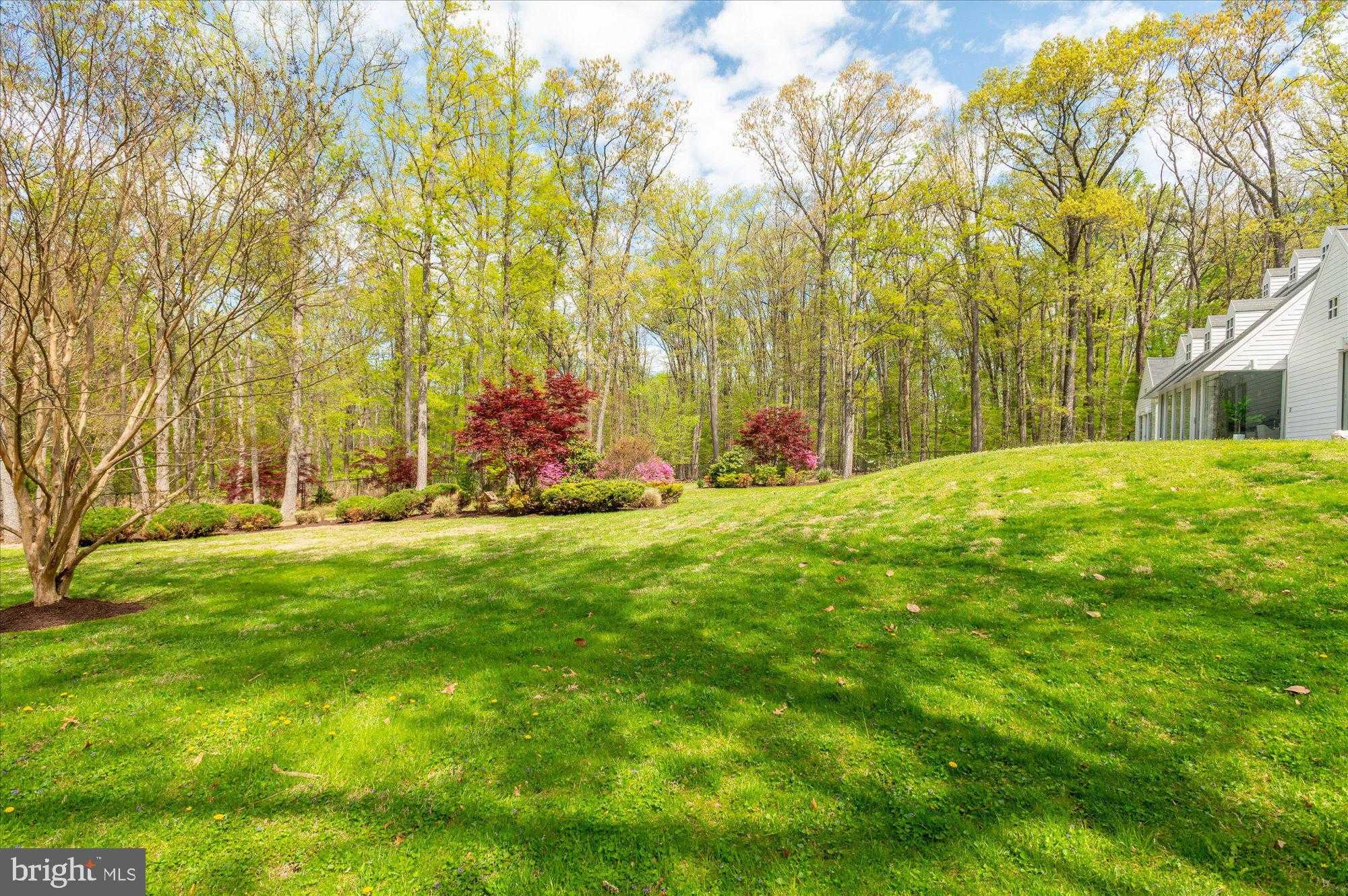 10310 Riverwood Dr photo 36