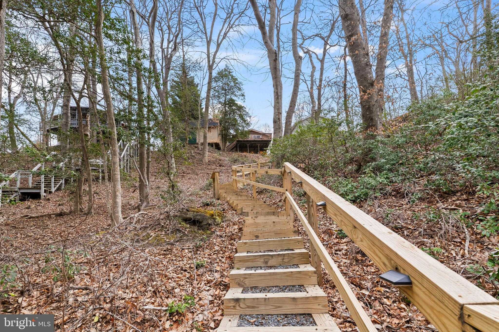 11469 Chaves Ln photo 46