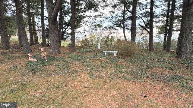 234 Hopewell Rd photo 66