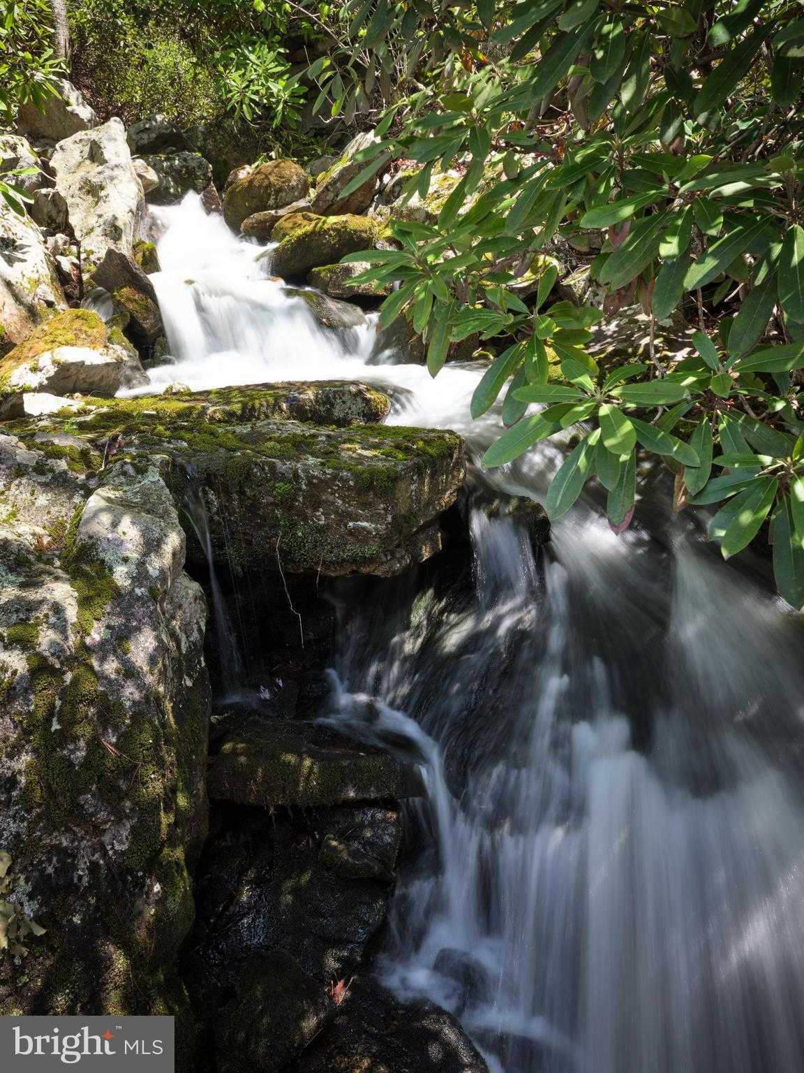 614 Graystones Jeras Rd photo 3