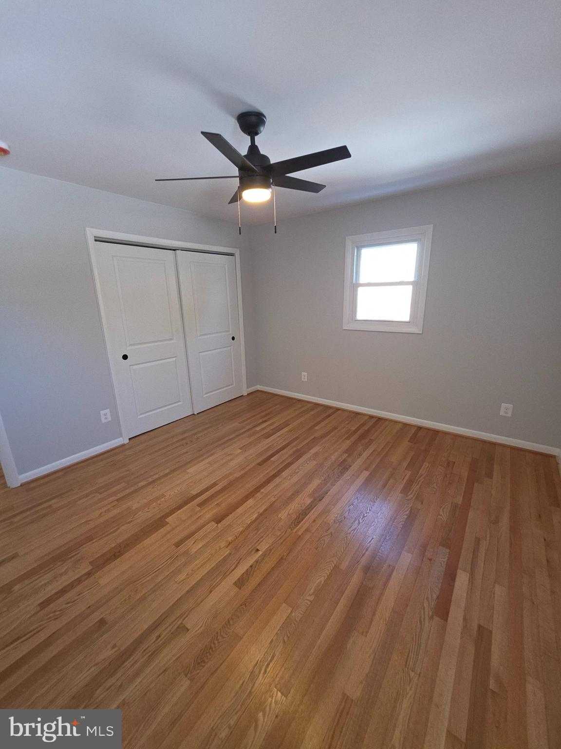 39256 Birch Manor Dr photo 10