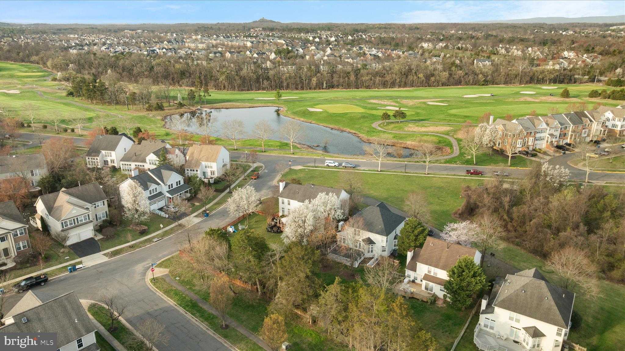 43186 Maple Cross St photo 5