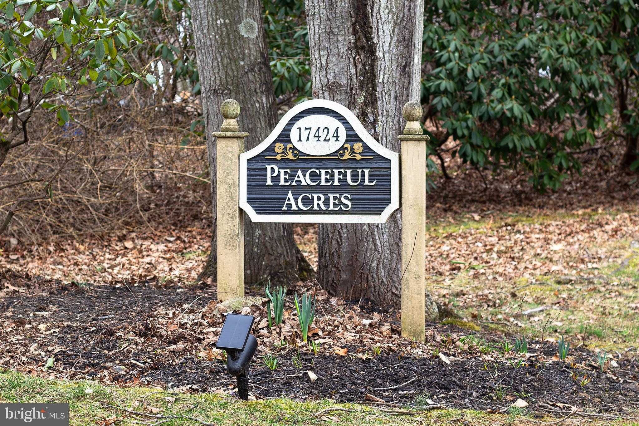 17424 Masemore Rd photo 71