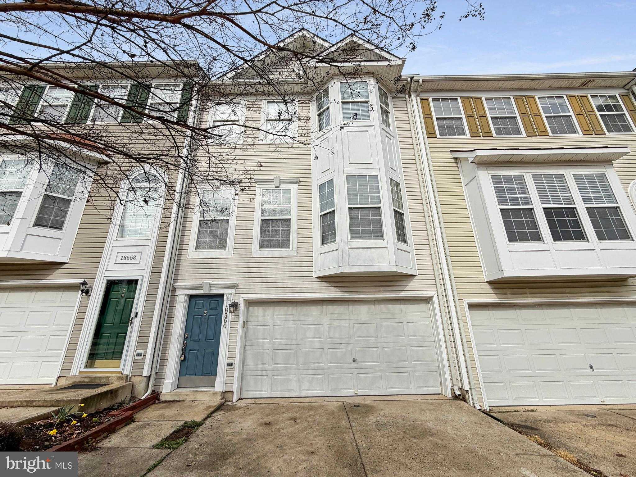 18560 Sierra Springs Sq, Leesburg