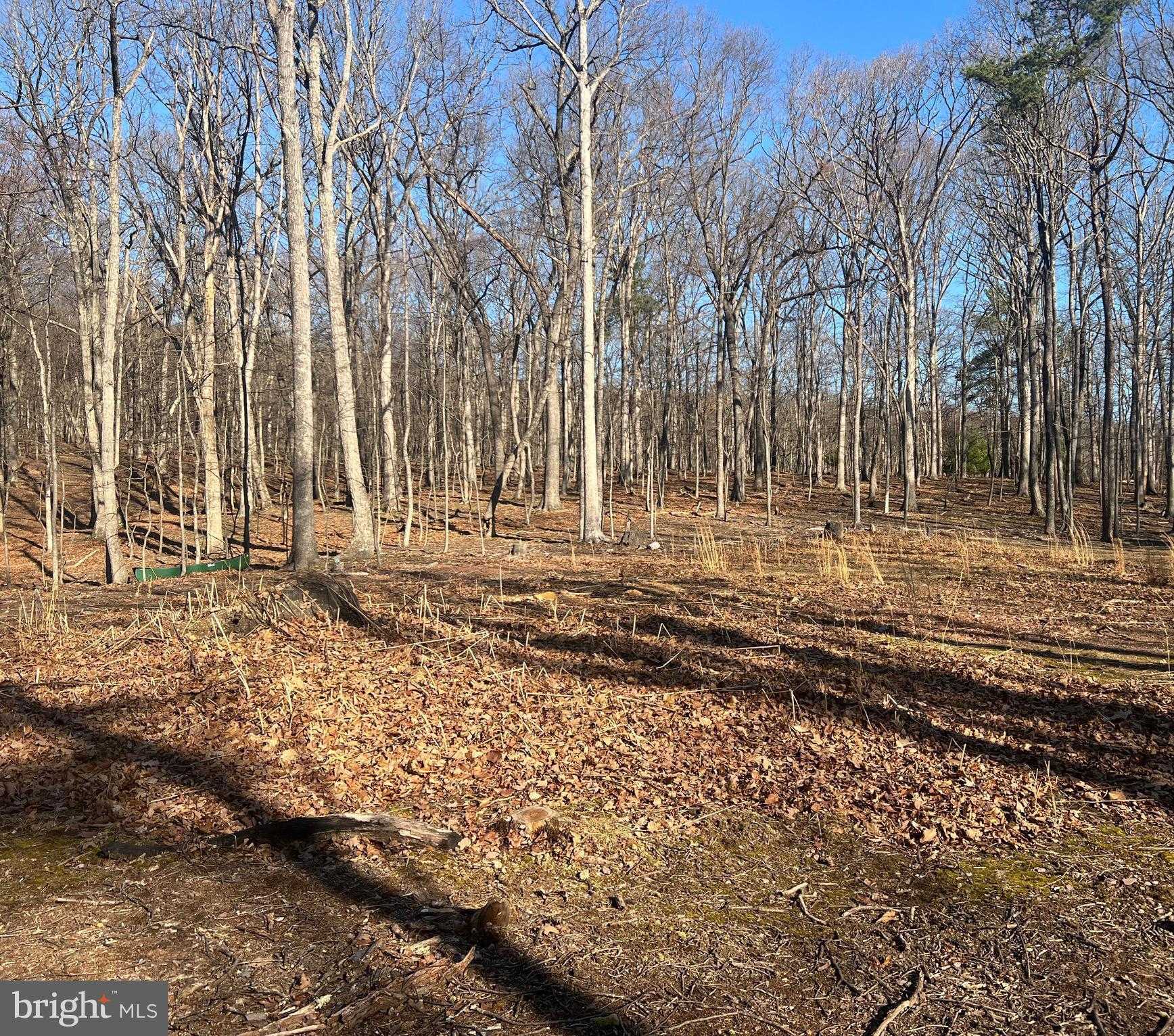 1417 Sideling Mountain Trl photo 7