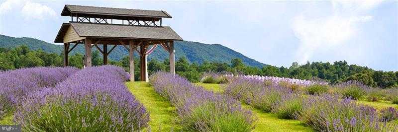 3899 Eakin Farm Rd photo 3