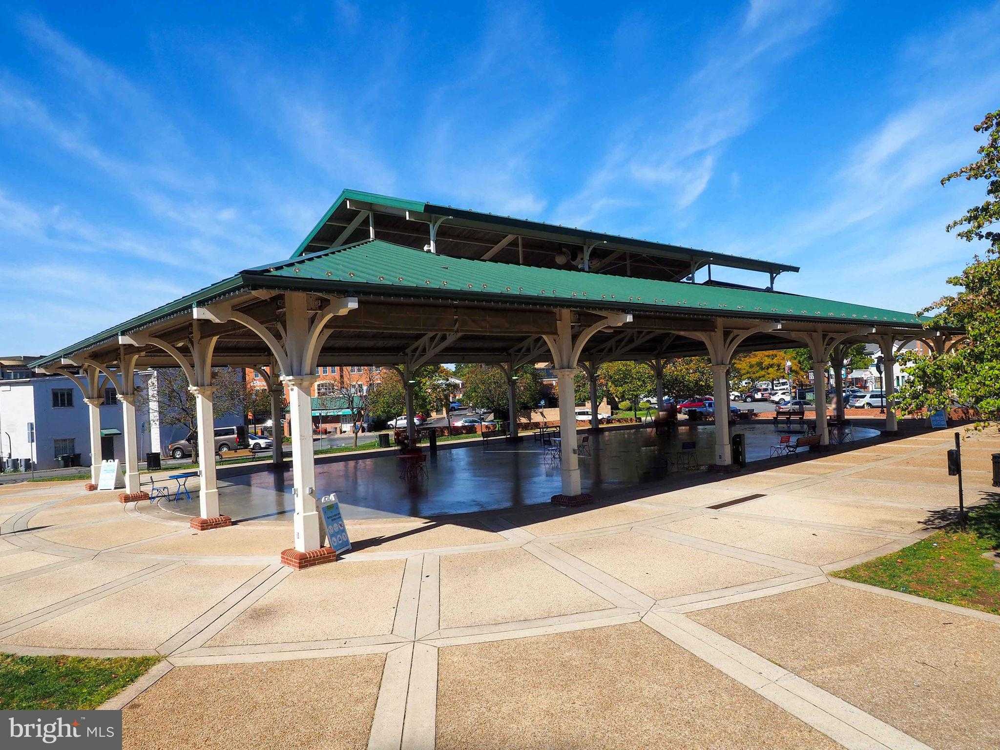 10316 Corryton CT photo 57