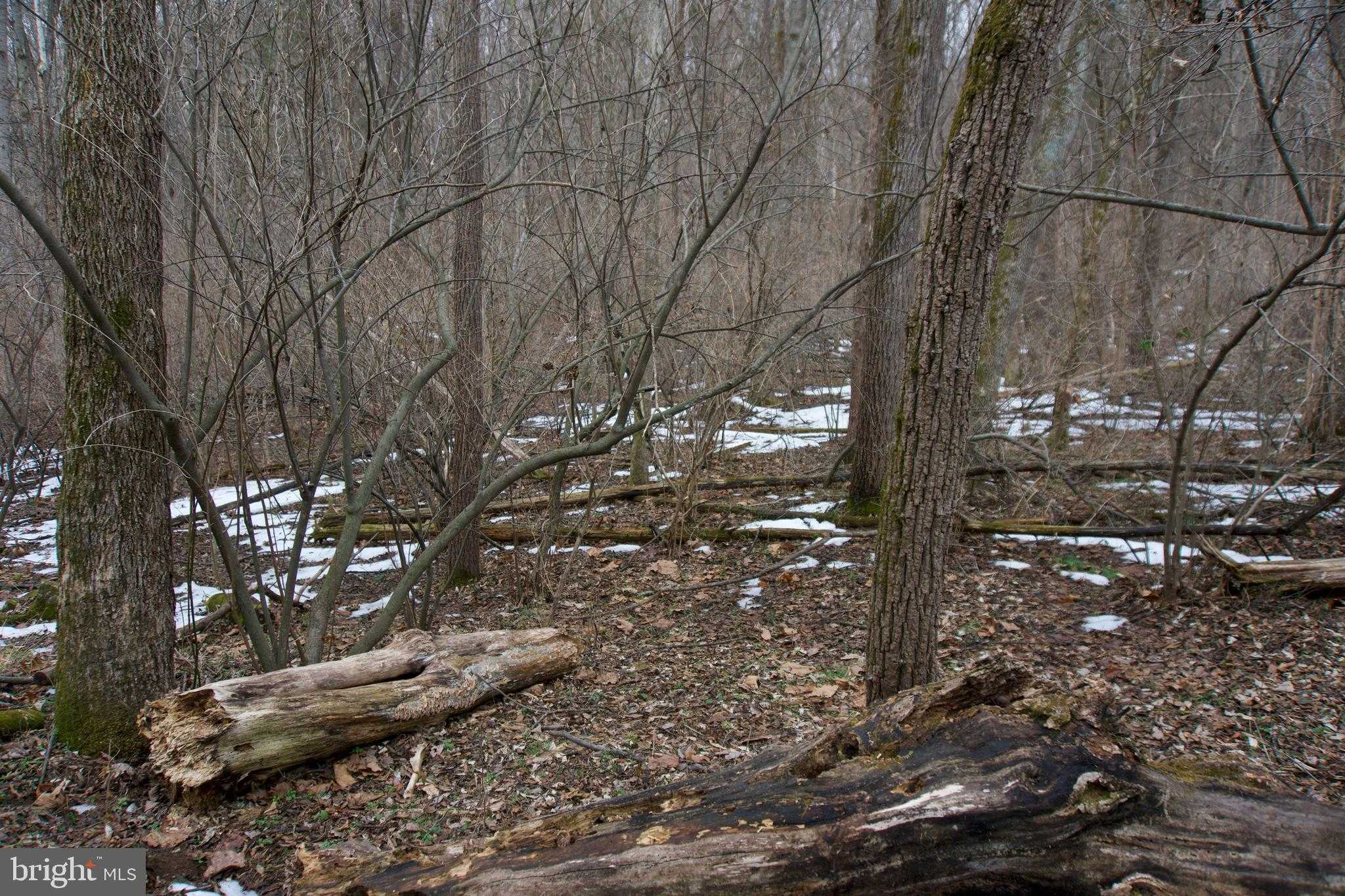 480 Beylors Ferry Rd photo 16